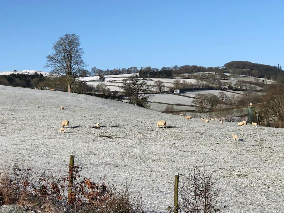 5F Stanley Lodge, Caer Beris, Builth Wells - No Tradesman エクステリア 写真
